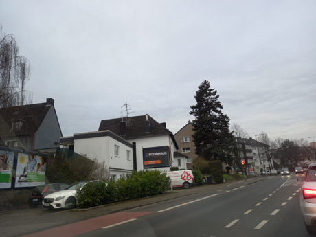 Koeln Poll